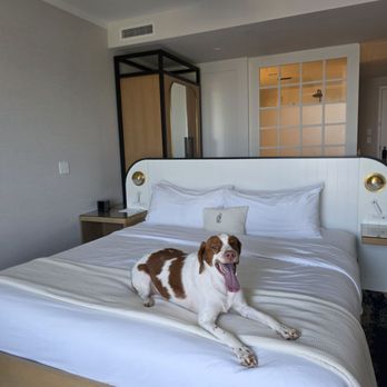 Brenton Hotel - Penthouse - Hotels Near Me - Newport, Rhode Island