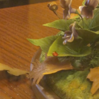 New Jersey State House - The single ladybug signifies New Jersey's first female governor, Christine Todd Whitman. - Landmarks & Historical Buildings Near Me - Trenton, New Jersey New Jersey State House - The single ladybug signifies New Jersey's first female governor, Christine Todd Whitman. - Landmarks & Historical Buildings Near Me - Trenton, New Jersey