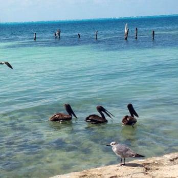 Tortuganja / Turtle Farm - Parks Near Me - Quintana Roo, ROO