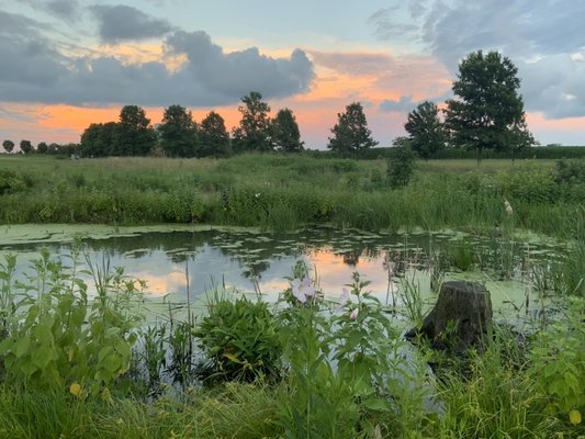 Legacy Trail by null