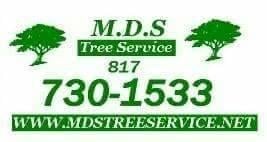 MDS Tree Service - tree service in Fort Worth, TX