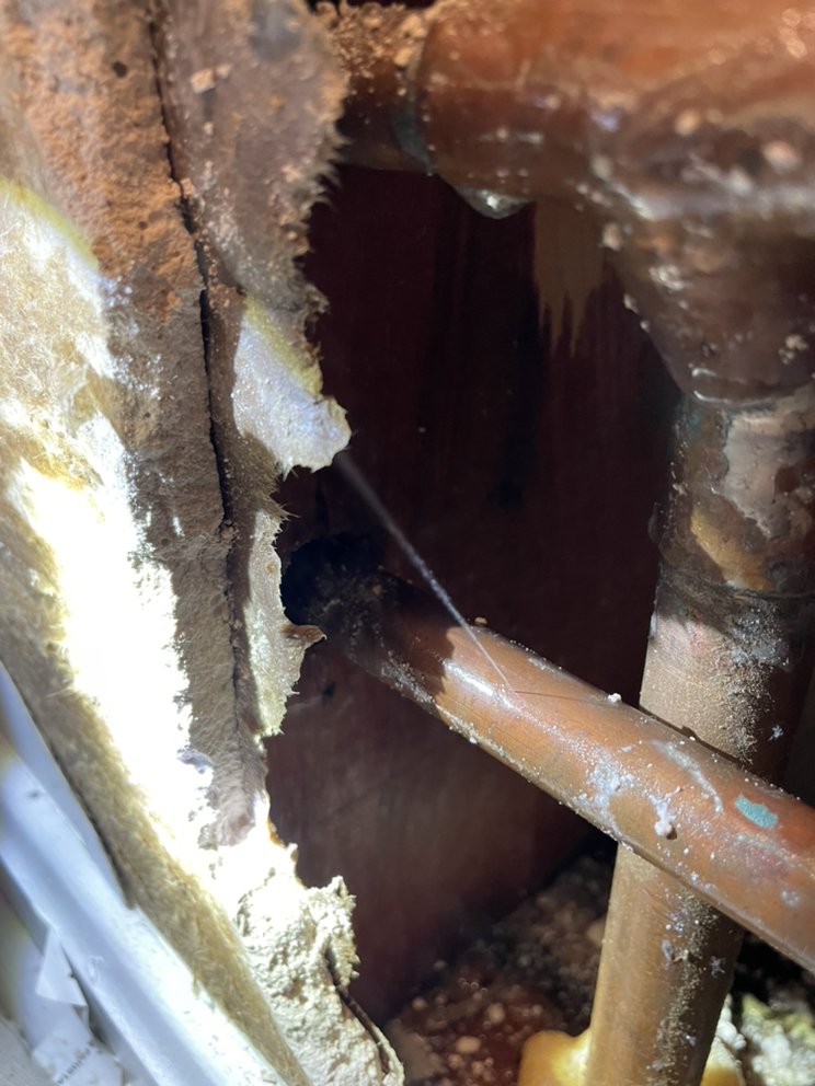 Slide of Everlast Services