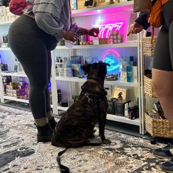Tarot Den California