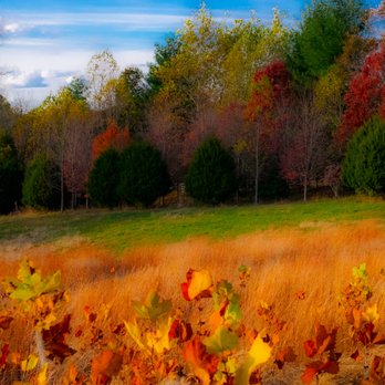 Glenstone - Art Museums Near Me - Potomac, Maryland
