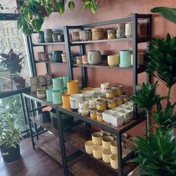 The Growing Groves Plant Shop - Nurseries & Gardening Near Me - Davis, California The Growing Groves Plant Shop - Nurseries & Gardening Near Me - Davis, California