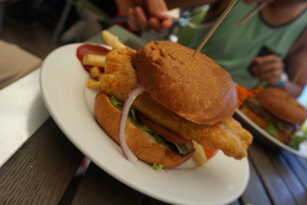 Foxy's Bar & Restaurant Fitzroy Island by null