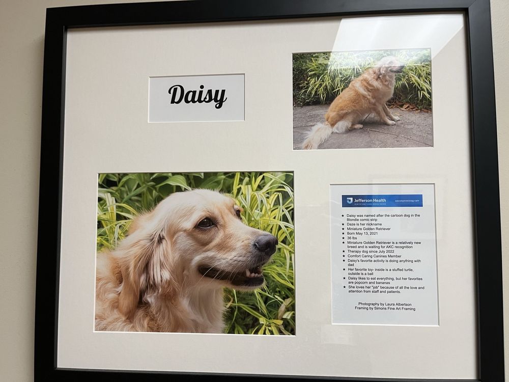 Jefferson Lansdale Hospital - patient advocate in Lansdale, PA