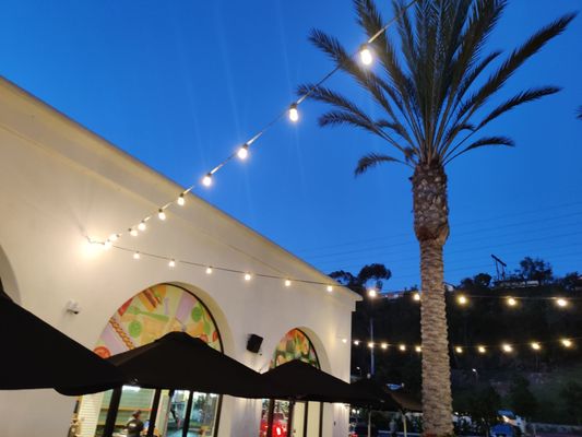 Shake Shack Carlsbad by null