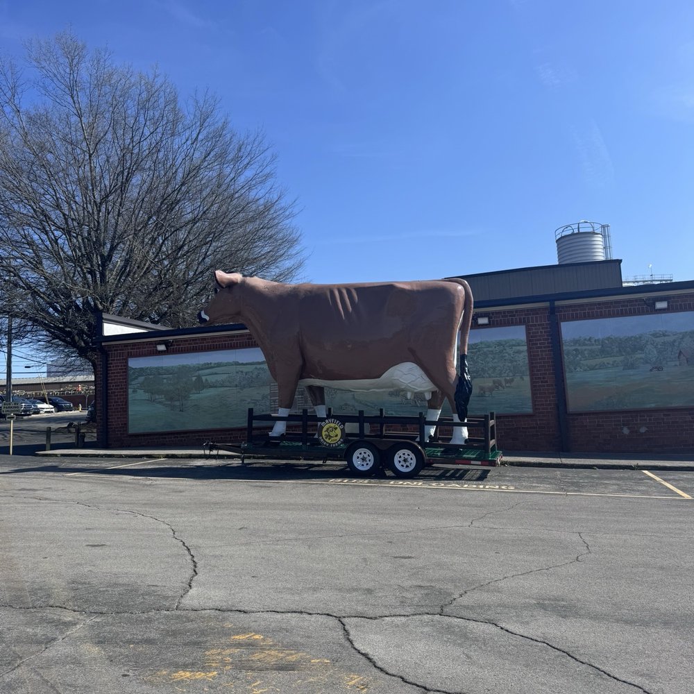 Mayfield cow Mayfield cow