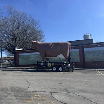 Mayfield Dairy Farms - Mayfield cow - Ice Cream & Frozen Yogurt Near Me - Athens, Tennessee