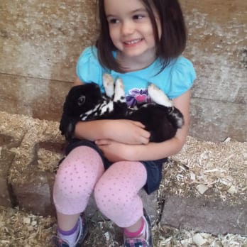 Erin's Farm - Zoos Near Me - Hobart, Indiana