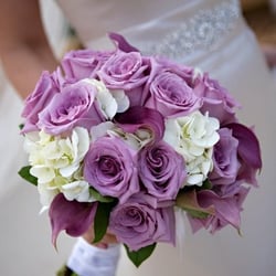 Garden of Weedon Designs