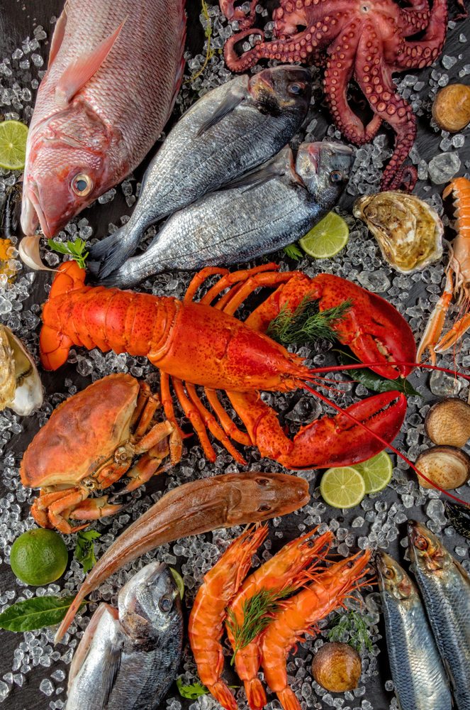 Newport Seafood Market Logo