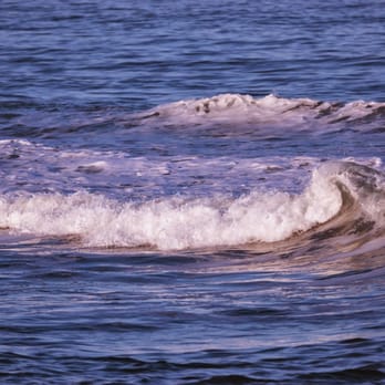 Sea Ranch Resort - I took this picture from the beach behind Sea Ranch Resort. - Resorts Near Me - Kill Devil Hills, North Carolina Sea Ranch Resort - I took this picture from the beach behind Sea Ranch Resort. - Resorts Near Me - Kill Devil Hills, North Carolina