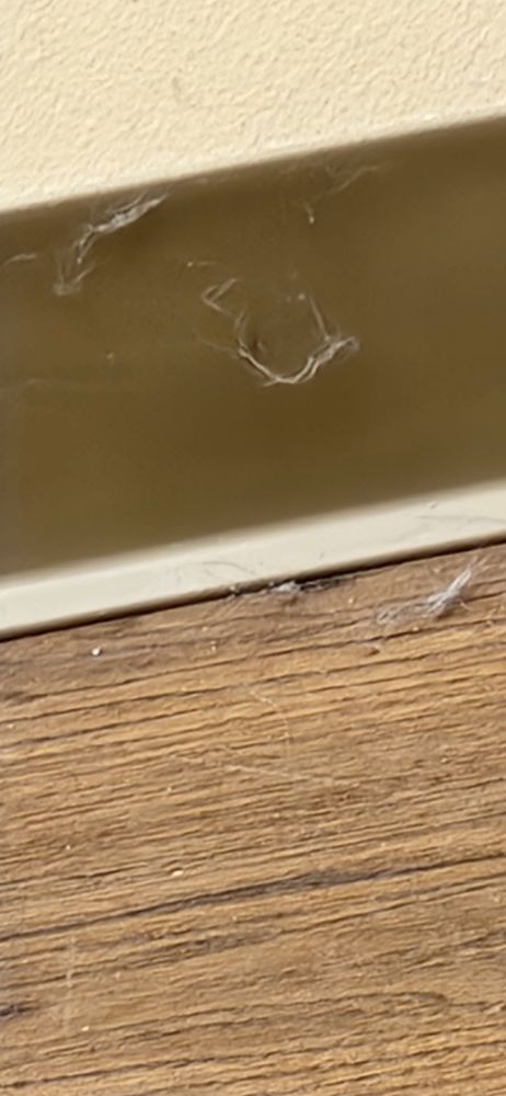 Invision Health - patient advocate in Buffalo, NY