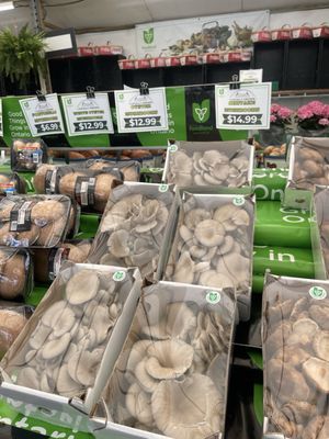 19th Avenue Farmer's Market by null