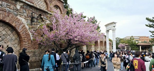 Tokyo DisneySea by null
