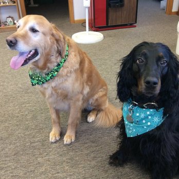 Hayes K9 Grooming - Pet Groomers Near Me Hayes K9 Grooming - Pet Groomers Near Me