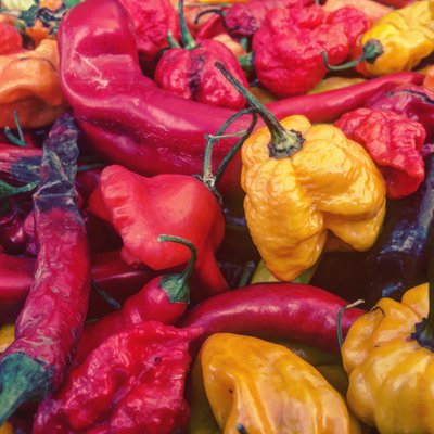 Carytown Farmers Market by null