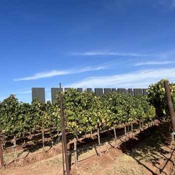 Los Milics Vineyards - Walking to the tasting room - Wine Tasting Room Near Me - Elgin, Arizona