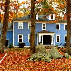 Jax Painting & Home Detailing