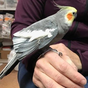 Animal Care Hospital Veterinarians 308 Hospital Dr Lewisburg Pa Phone Number