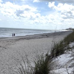 Seagull Park