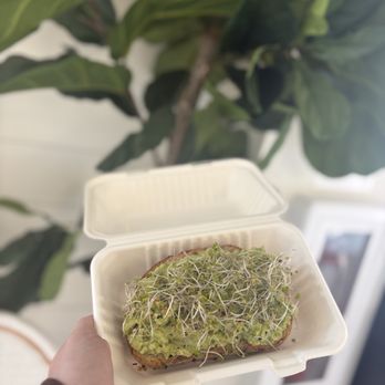 Juice Pod - AVOCADO TOAST - Wraps Near Me - Bethlehem, Pennsylvania Juice Pod - AVOCADO TOAST - Wraps Near Me - Bethlehem, Pennsylvania