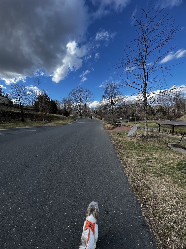 Social spots from Gypsy Hill Park