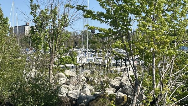 Edgewater Pier by null