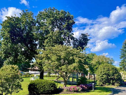 Tumble Brook Country Club