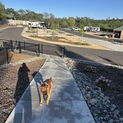 Oroville / Feather Falls Casino KOA - New side of camp ground.