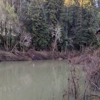 Sunset Beach River Park - During Winter the river wasn't great and smelled - Parks Near Me - Forestville, California Sunset Beach River Park - During Winter the river wasn't great and smelled - Parks Near Me - Forestville, California