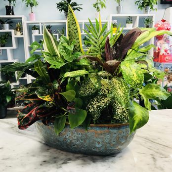 S & A Florist Multi Services - Florists Near Me - Elmsford, New York S & A Florist Multi Services - Florists Near Me - Elmsford, New York