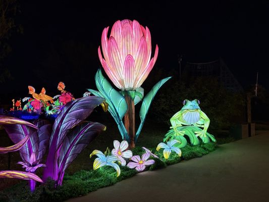 San Antonio Botanical Garden by null