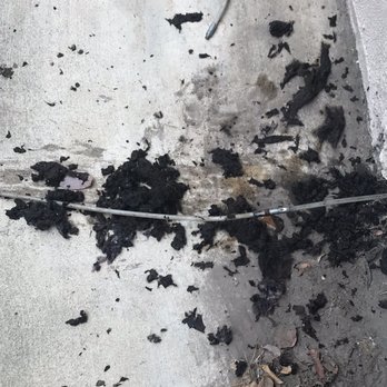 The Dryer Vent Experts - Dirty lint and removal tool - Air Duct Cleaning Near Me The Dryer Vent Experts - Dirty lint and removal tool - Air Duct Cleaning Near Me