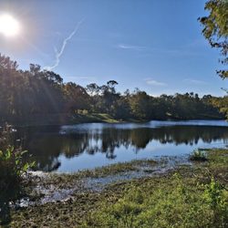 Greenwood Urban Wetlands