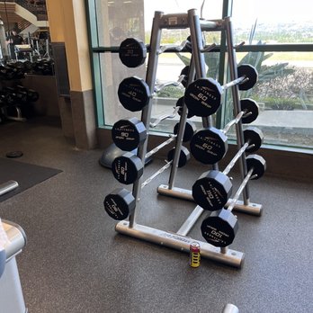 LA Fitness - Straight bars and curl bars missing - Gyms Near Me - Diamond Bar, California LA Fitness - Straight bars and curl bars missing - Gyms Near Me - Diamond Bar, California