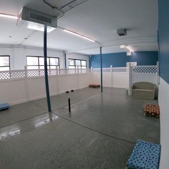 Dog House Denver - Pet Training Near Me - Denver, Colorado