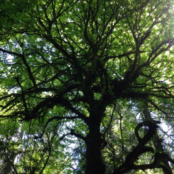 Point Defiance Park - Parks Near Me - Tacoma, Washington Point Defiance Park - Parks Near Me - Tacoma, Washington