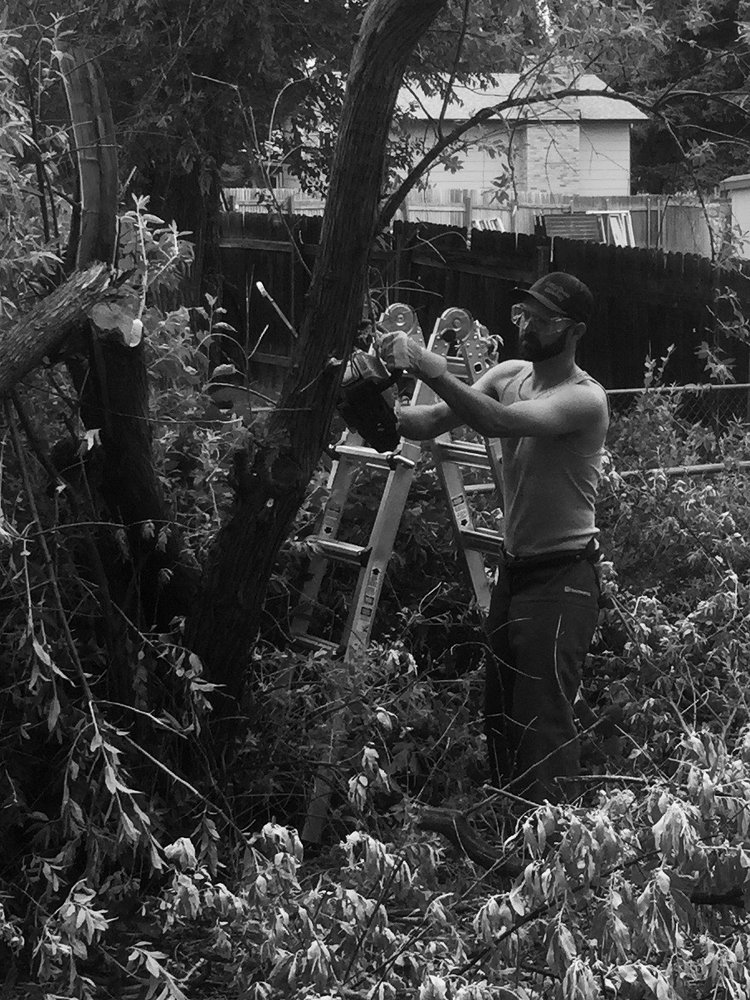 Rhino Transit - tree service in Colorado Springs, CO