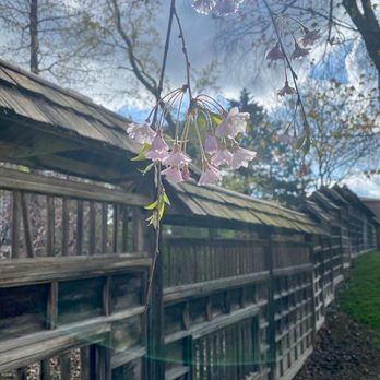 Kariya Park - April 23, 2023 - Parks Near Me - Mississauga, Ontario Kariya Park - April 23, 2023 - Parks Near Me - Mississauga, Ontario