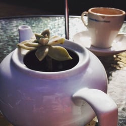 Laurel Cottage Garden Cafe & Restaurant
