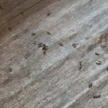 Crawfish ATX - Ant trail under the table - Cajun/Creole Near Me - Austin, Texas