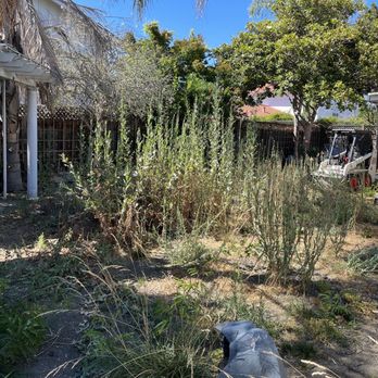 Cherrywood Landscaping - Landscaping Near Me