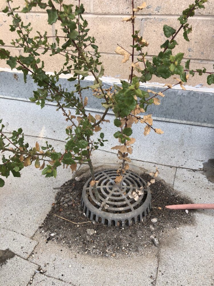 Slide of Humphreys Rain Gutters