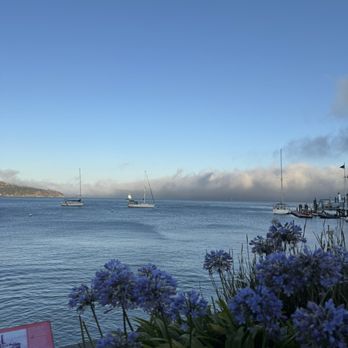 Hotel Sausalito - Hotels Near Me - Sausalito, California