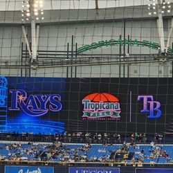 Tampa Bay Rays