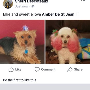 Amber's Pampered Paws - Message from one of many favorite owners - Pet Groomers Near Me Amber's Pampered Paws - Message from one of many favorite owners - Pet Groomers Near Me