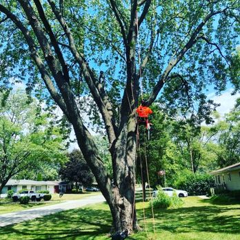 Liberty Tree Service - Tree Services Near Me - New Lenox, Illinois